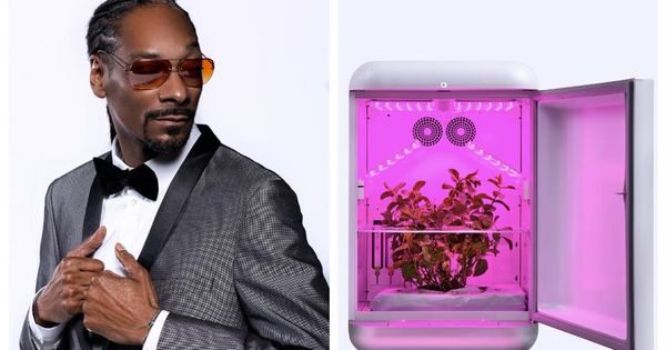 Как собрать гроубокс? Инструкция.